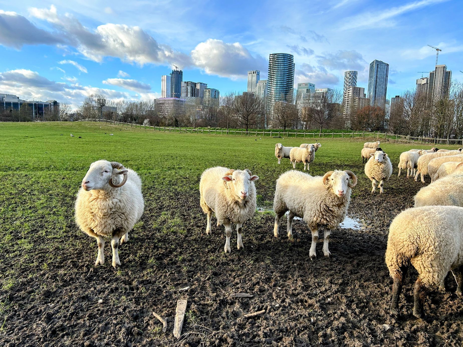 Fotky ze života v Londýně