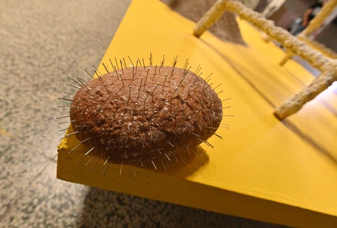 Čekání na Fénixe od Zuzany Scerankové.