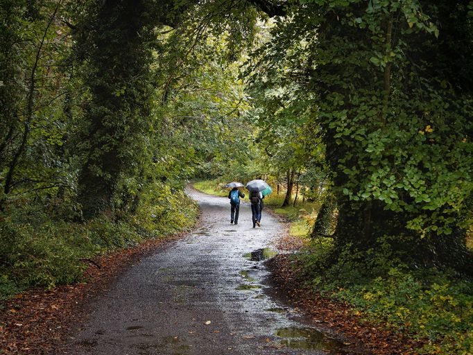 Strašidelný hrad Charleville a tajemný druidský les poblíž irského Tullamore