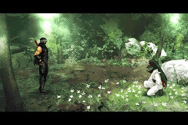 Ninja Gaiden Dragon Sword