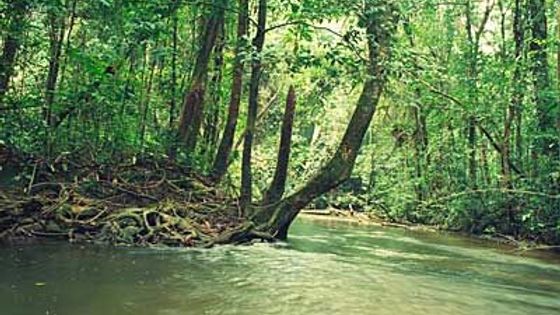 Nové památky světového dědictví UNESCO