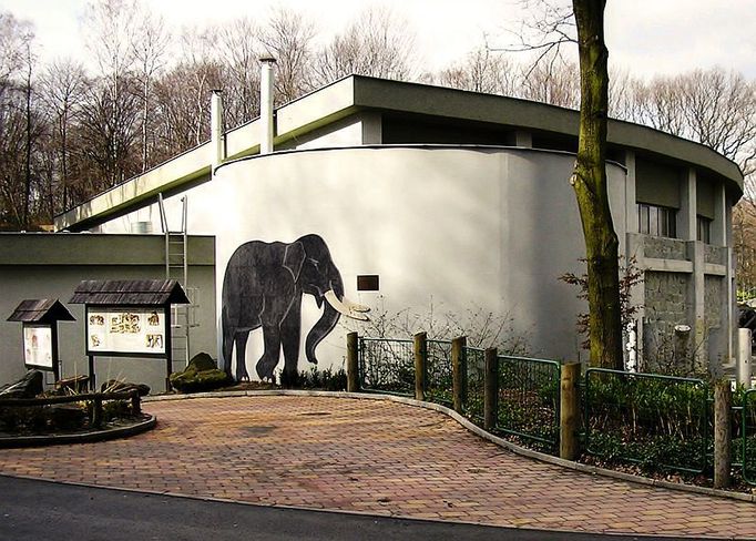 Hlavním předpokladem proto, aby koordinátor sloní plemenné knihy sídlící v holandském Rotterdamu, doporučil konkrétní ZOO, je dostatečně dimenzovaný pavilon. V Ostravě vybudovali chovatelský sloninec za osmdesát milionů korun v letech 2003 až 2004.