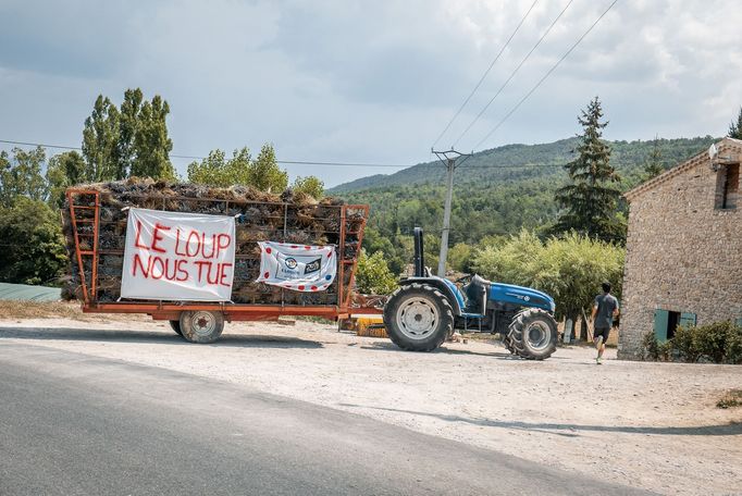 Tour de France 2019, fanoušci