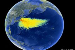 Video: Jak se šíří Fukušimou kontaminovaný plankton