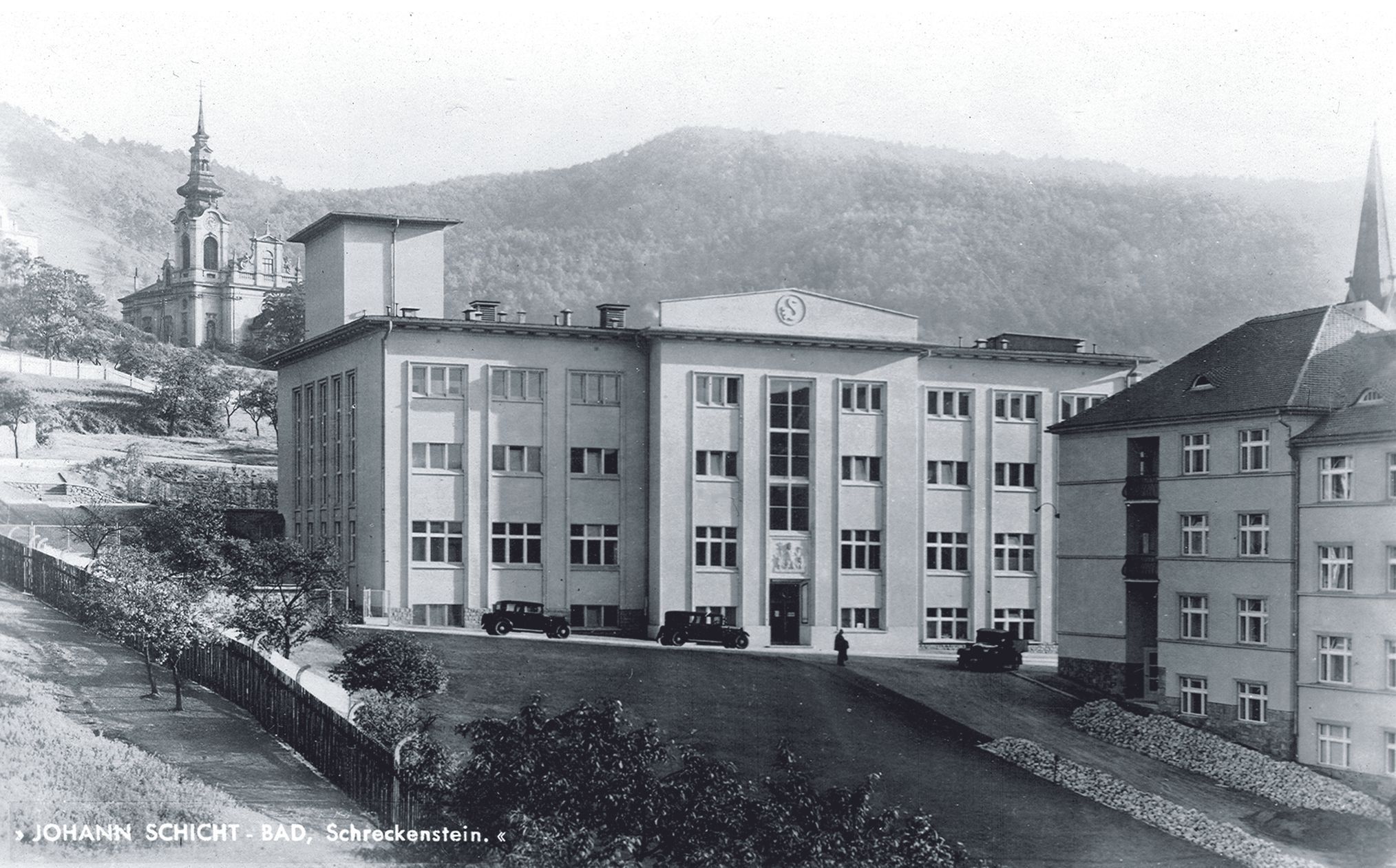 Mozkožrout, PAME, bakterie, epidemie, Ústí nad Labem, Domácí