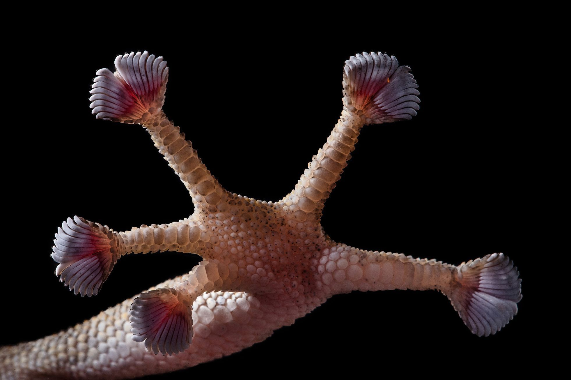 Nominace na ceny Czech Nature Photo 2022