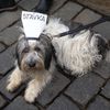 Stávka odborů, protest, demonstrace, pochod