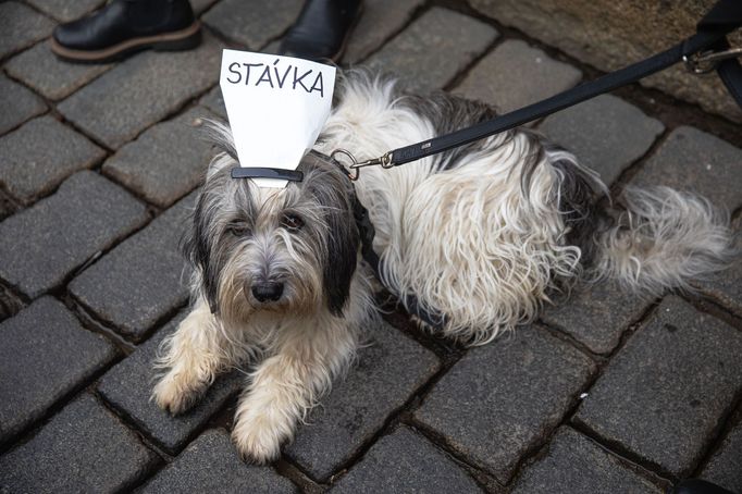 Protest studentů a odborů proti opatřením vlády Petra Fialy.