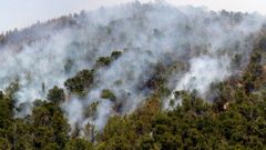 Na Ibize zuří obří lesní požár