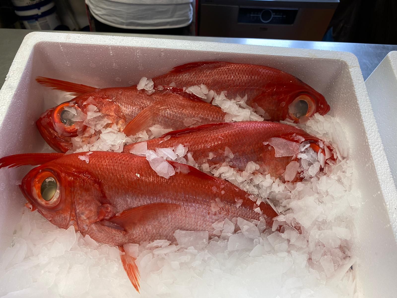 Agapi mou taverna Jablonec čerstvé ryby syrové červené led