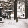Lipno nad Vltavou v zimě, turismus, sníh