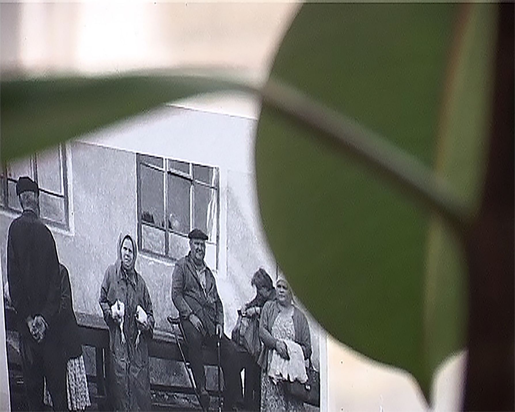 Anna Daučíková: Thirty-three Situations