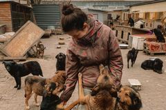 "Naše poslání nezmění ani válka." Manželé na Ukrajině zachraňují ohrožená zvířata