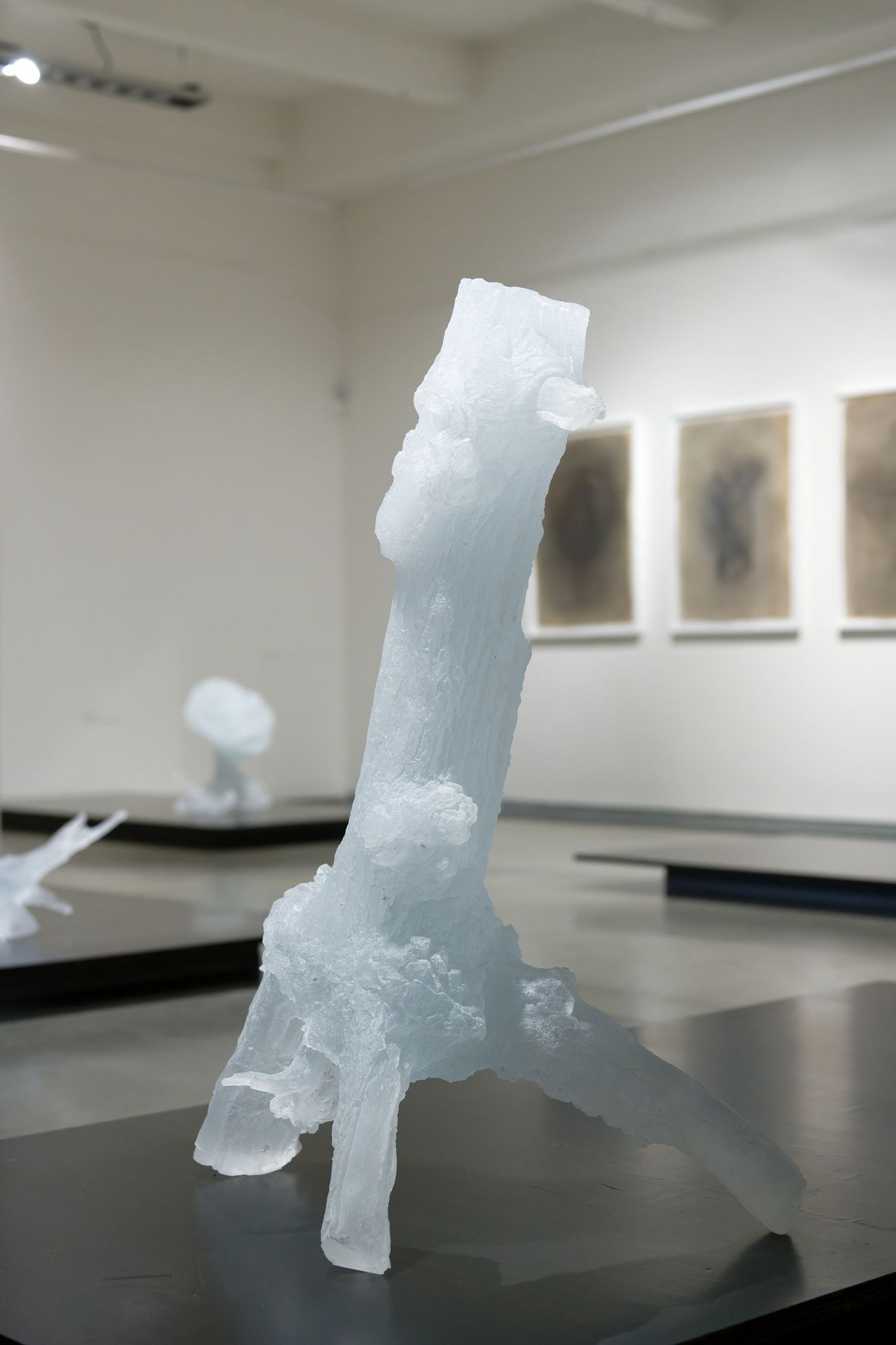 Rony Plesl: Stromy rostou z nebe, Museum Kampa, 2023