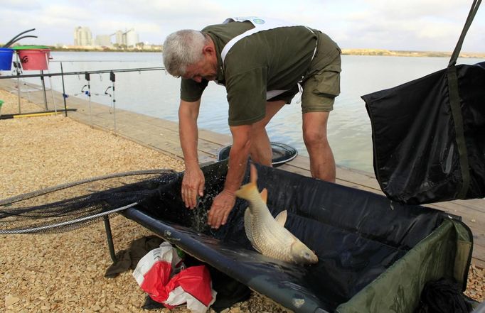 Pave Vukelic of Croatia tries to hold onto a carp to be weighed during the 14th Carpfishing World Championship in Corbu village, 310 km (192 miles) east of Bucharest, September 29, 2012. REUTERS/Radu Sigheti (ROMANIA - Tags: SOCIETY SPORT) Published: Zář. 29, 2012, 4:26 odp.