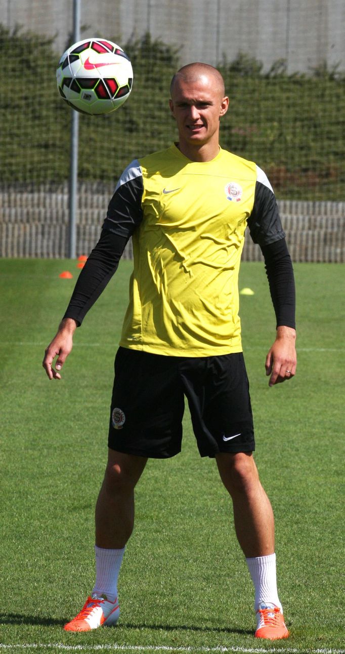 Martin Nešpor