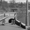 Tunel, Žižkov, Vítkov, pěší, Domácí, historie, výročí, Praha