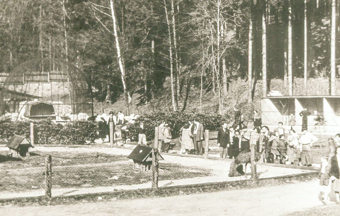 ZOO Liberec, zoo, zoologická zahrada, Liberec, historie, výročí, Domácí