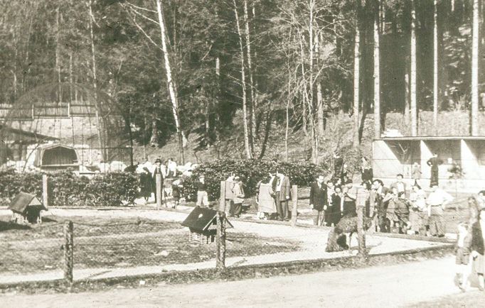 ZOO Liberec slaví 120 let od svého vzniku. Podívejte se na historické momenty a vývoj nejstarší zoologické zahrady v českých zemích od jejího založení v roce 1904.