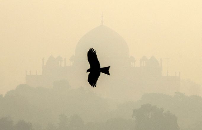 Smog v indickém Dillí.