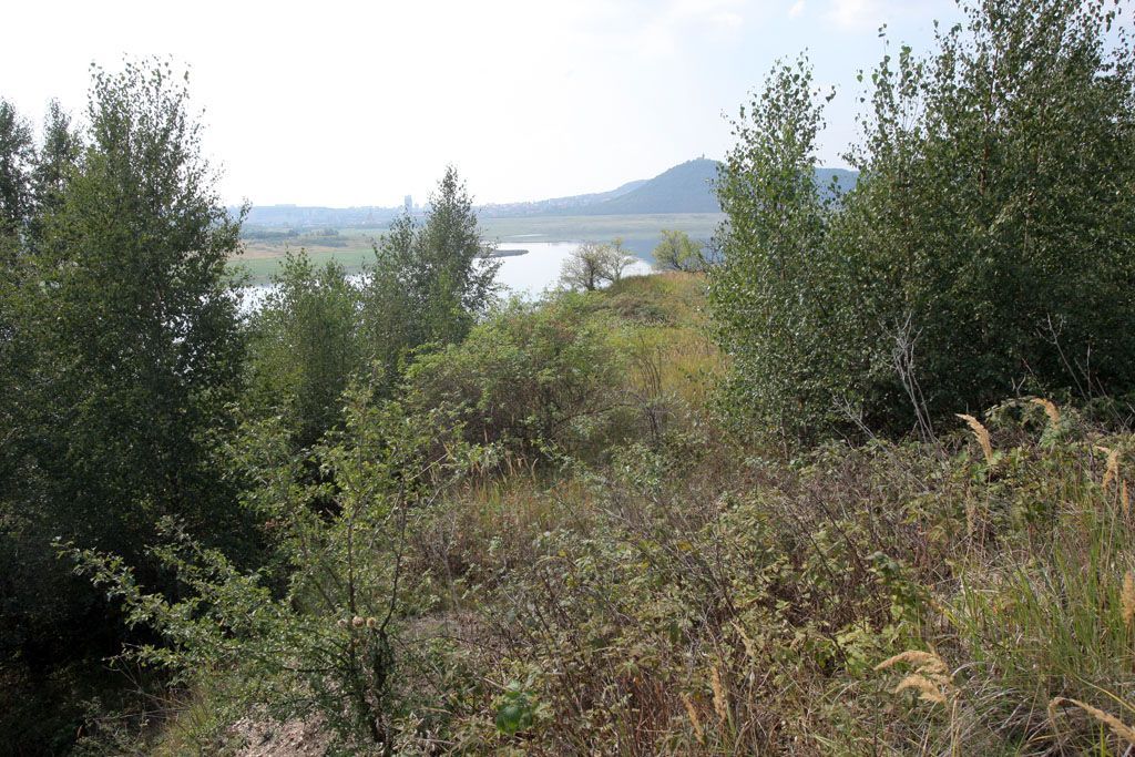 Jezero Most