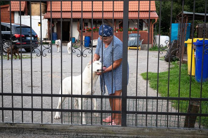 Obec Sučany, která má problém s útoky medvědů na domácí zvířata.