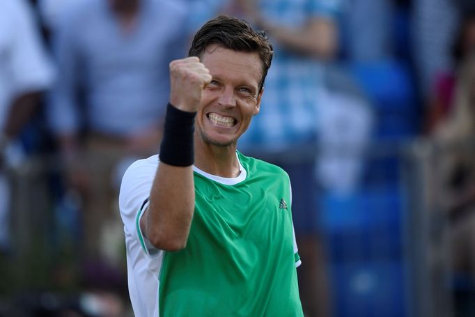 Tomáš Berdych v Queens 2017