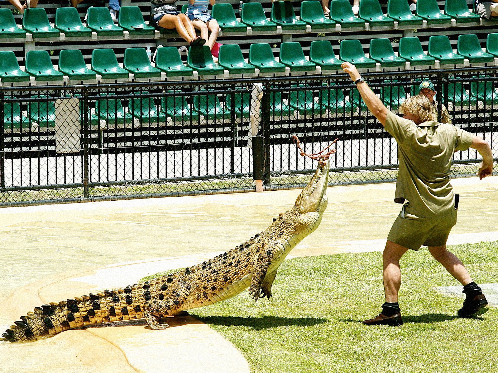 Fotogalerie / Steve Irwin / Tak vypadal ten pravý "Krokodýl Dundee". Vzpomínka na dobrodruha Steva Irwina
