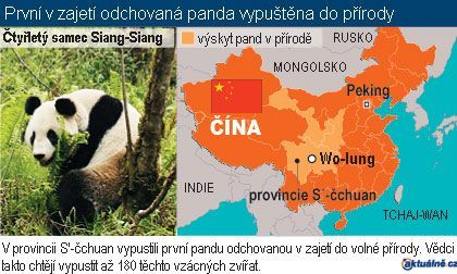 Grafika Pandy v Číně