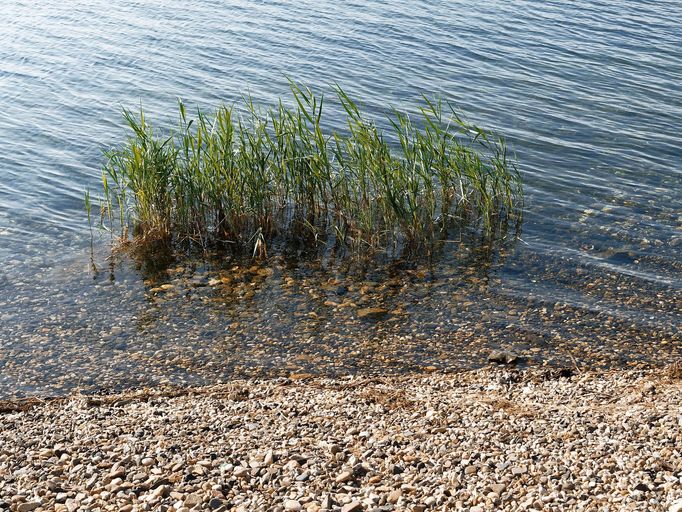 Jezero Most. Rekreační zóna, která vznikla na místě bývalého hnědouhelného dolu