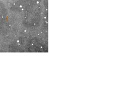 Kometa Tichý je na snímku pořízeném pomocí hvězdářského dalekohledu na Kleti jen obtížně viditelná. Ukazuje ji šipka.