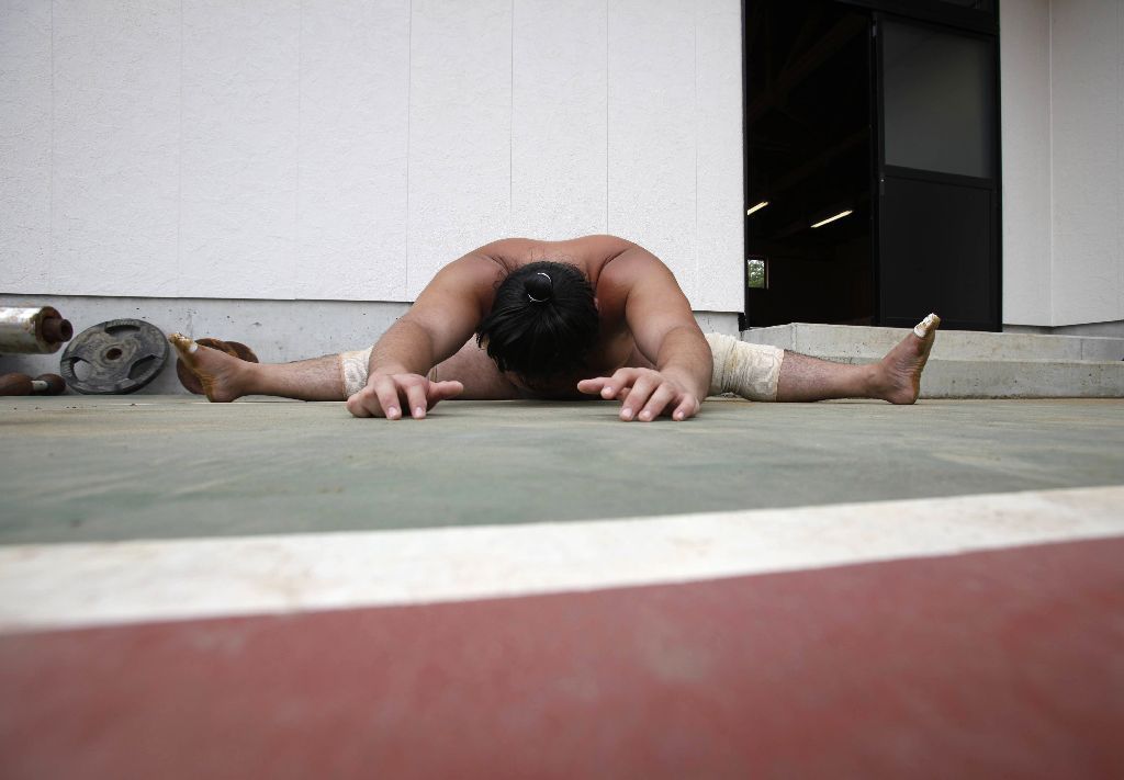 Japonští sumo na "letním táboře"