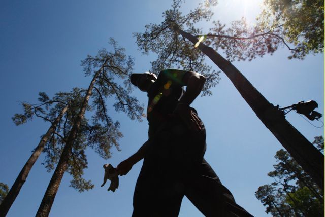 Tiger Woods na Masters v Augustě