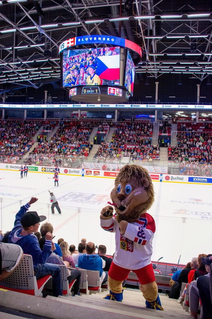 Maskot českého národního týmu.