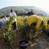 Beaujolais - nepoužívat, jednorázové svolení vlastníka
