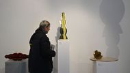 Tomáš Rajlich, Museum Kampa, výstava, 2025
