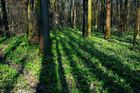 Na Olomoucku vznikne deset nových chráněných oblastí