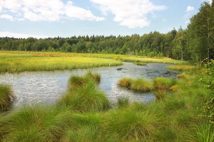 Šumava