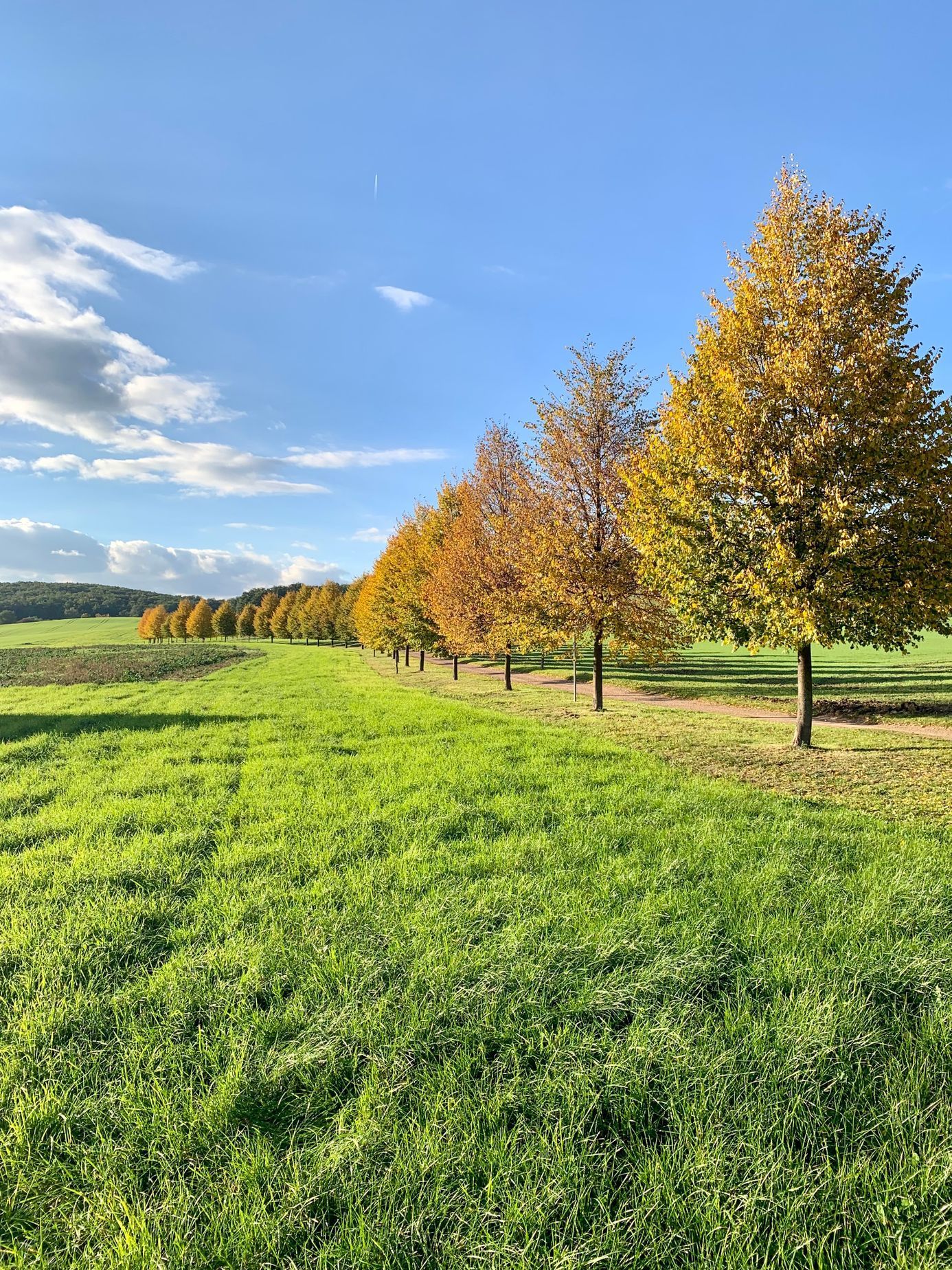 Soutěžní snímky Alej roku 2022