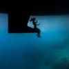 Nejlepší fotky pořízené pod hladinou - Underwater Photographer of the Year 2019