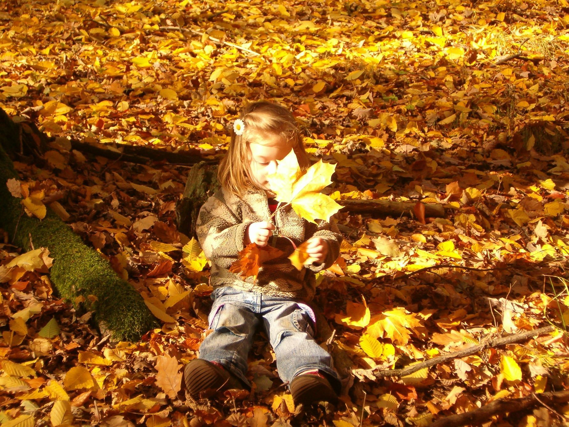 Fotosoutěž: Můj podzim - Martina Rendlová