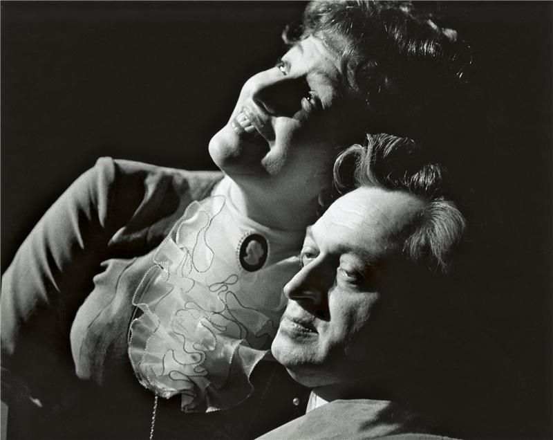 Dana Medřická, herečka