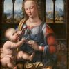 Leonardo da Vinci: Madona s karafiátem