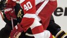 Henrik Zetterberg, č. 8. V 68 zápasech stihnul 84 bodů. Druhý nejlepší útočník Detroitu Red Wings je letos zatím nejproduktivnějším Švédem v NHL.