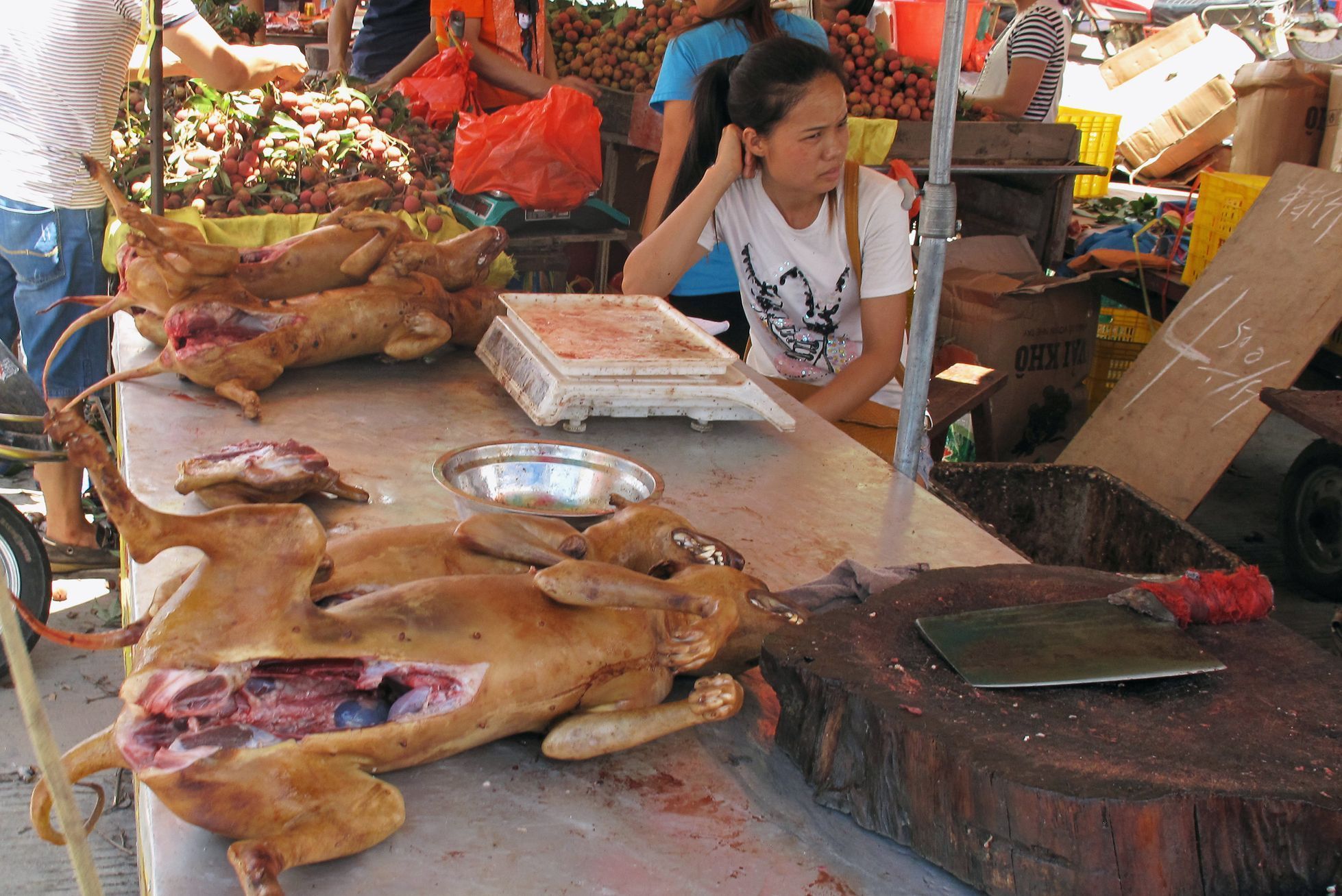 Festival pojídání psího masa v Jü-lin v Číně