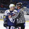 Hokejová extraliga: Plzeň - Litvínov