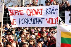 Rozzlobení farmáři vylévali mléko a naháněli ministra