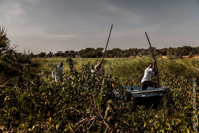 Nominace na World Press Photo: Příběh roku