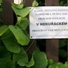 Nekuřácká hospoda v Rakovníku