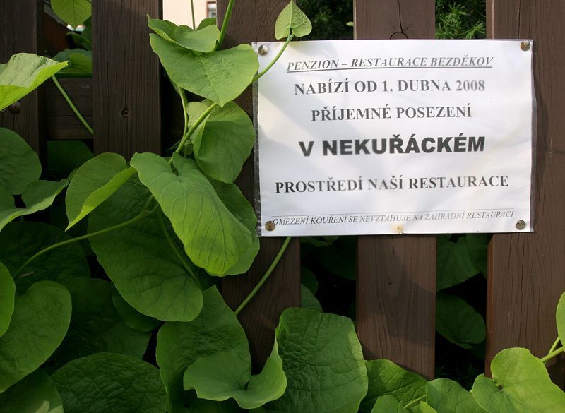 Nekuřácká hospoda v Rakovníku